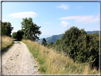 foto Strada delle Penise